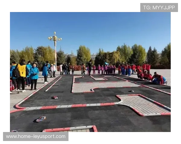 圣基茨和尼维斯积极推动青少年体育教育，圣基茨和尼维斯联