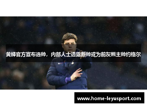 黄蜂官方宣布选帅，内部人士透露新帅或为前灰熊主帅约格尔