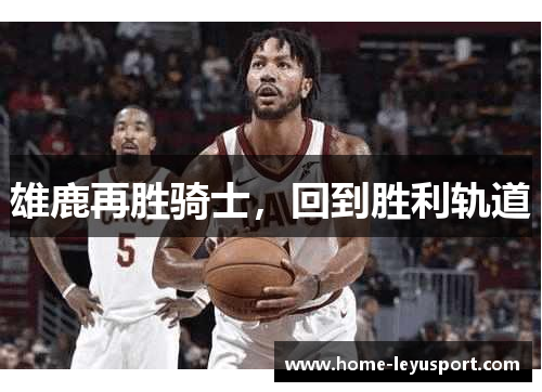 雄鹿再胜骑士，回到胜利轨道